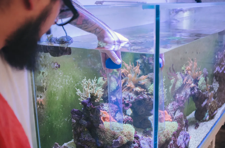 CoralClean LLC for aquariums